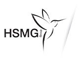 hsmg